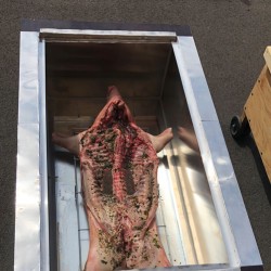 Grill Fire - D.S. Veranstaltungsservice Grill Fire - D.S. Veranstaltungsservice