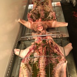 Grill Fire - D.S. Veranstaltungsservice Grill Fire - D.S. Veranstaltungsservice