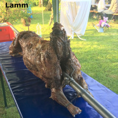 Grill Fire - D.S. Veranstaltungsservice Grill Fire - D.S. Veranstaltungsservice