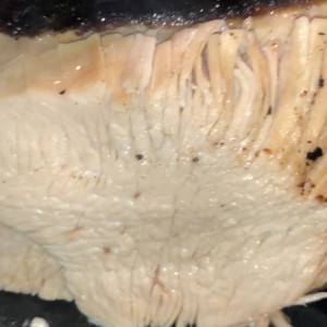 Grill Fire - D.S. Veranstaltungsservice Grill Fire - D.S. Veranstaltungsservice