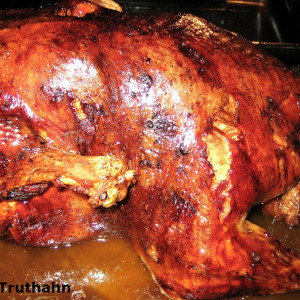 Grill Fire - D.S. Veranstaltungsservice Grill Fire - D.S. Veranstaltungsservice